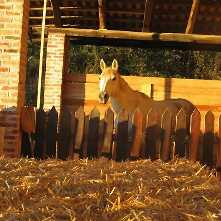 La Del Nocciolo نوفيلو