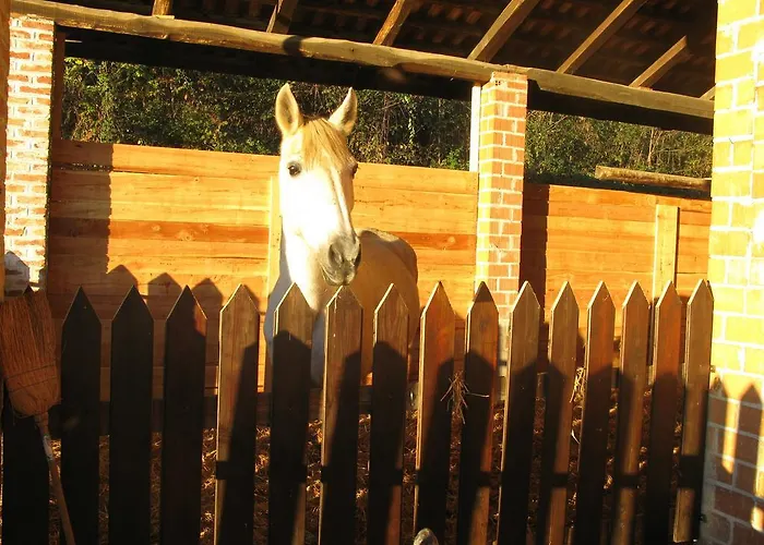 La Del Nocciolo カントリーハウス ノヴェッロ