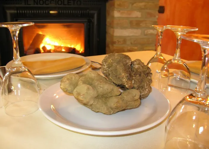 La Del Nocciolo ノヴェッロ