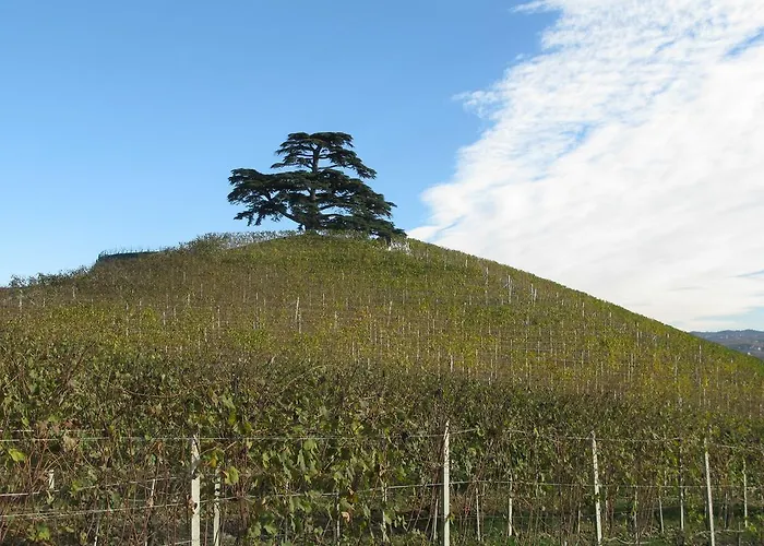 La Del Nocciolo カントリーハウス