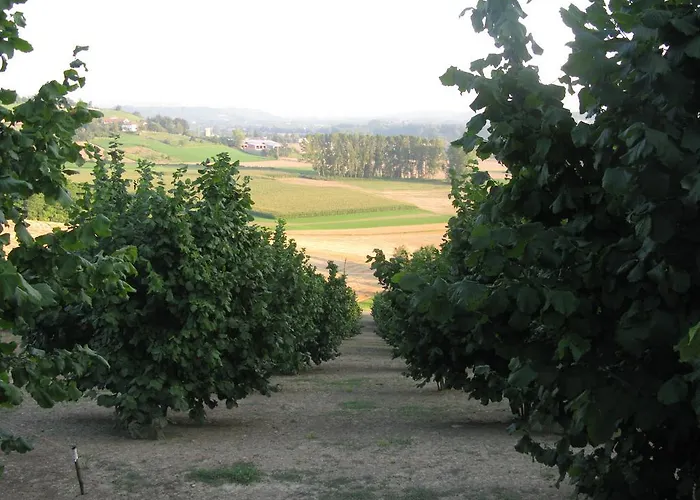 カントリーハウス La Del Nocciolo