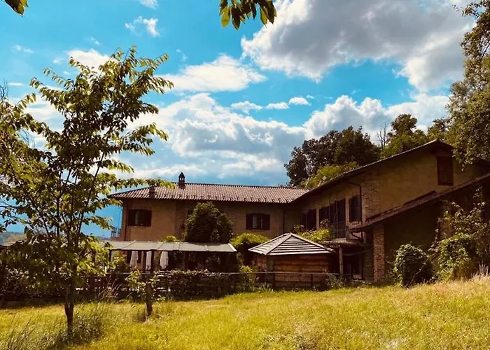 La Del Nocciolo * ノヴェッロ