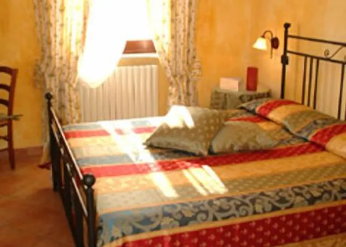 La Del Nocciolo ノヴェッロ