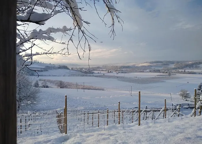 La Del Nocciolo * ノヴェッロ